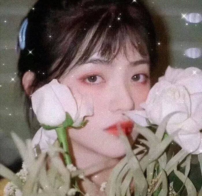 尼姆的实验